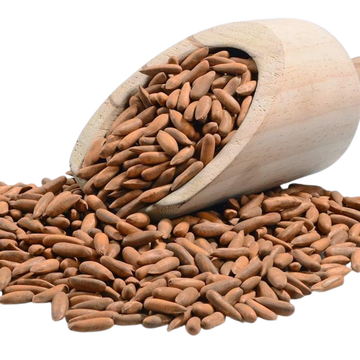 Pine Nuts - Chilghoza (Afghani)