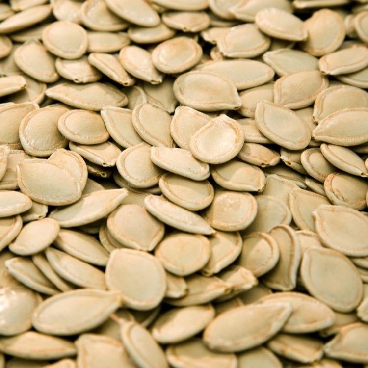 Roasted and Salted Pumpkin Seeds